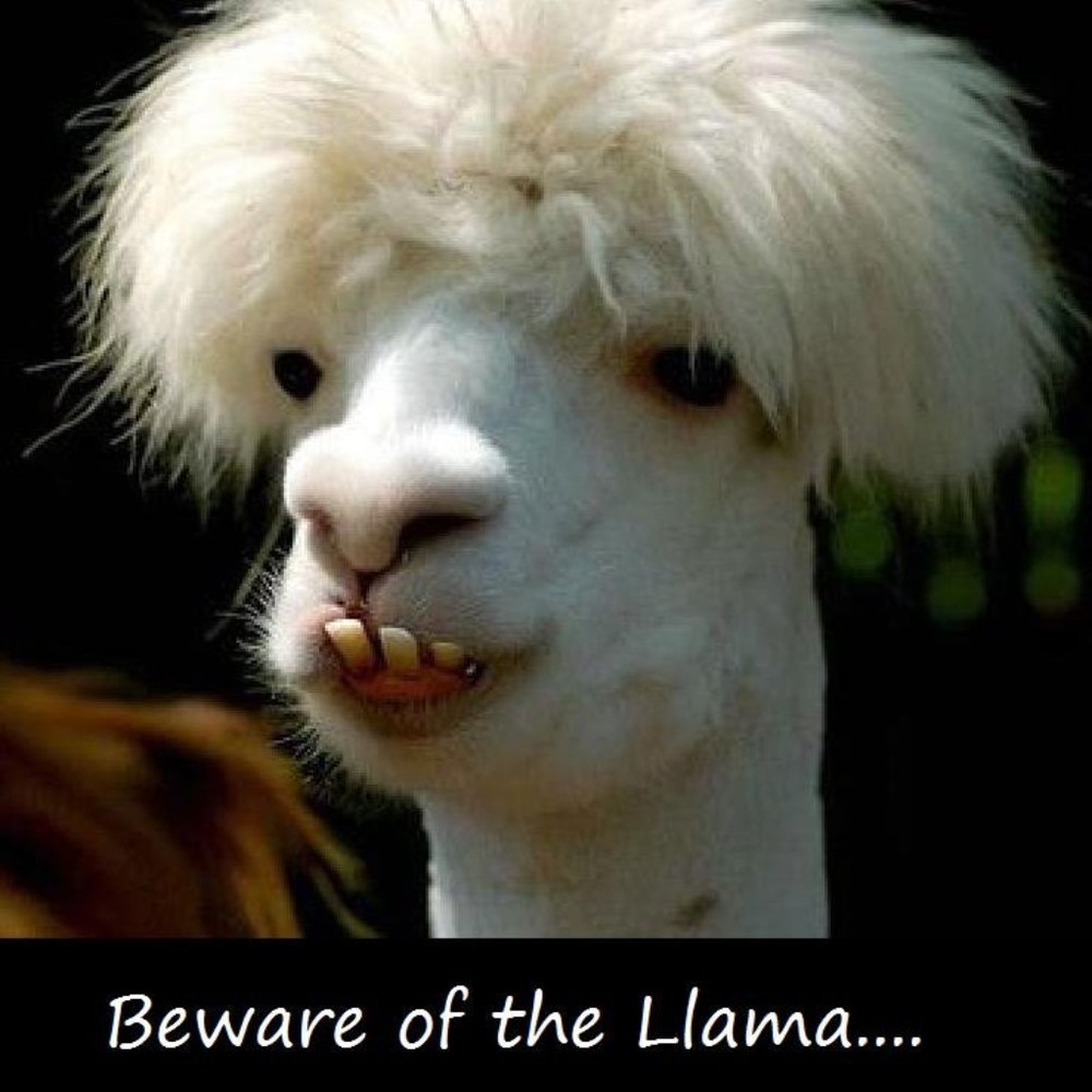 Meet your Posher, Joshua